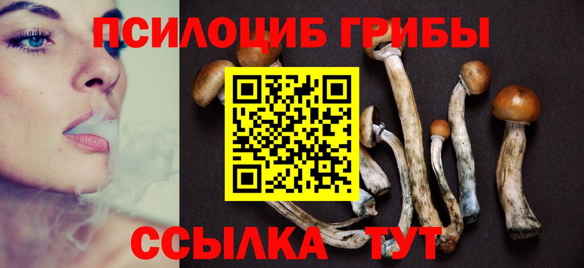 где продают   Вход с VPN  Набережные Челны  Галлюциногенные грибы Magic Shrooms  Галлюциногенные грибы MAGIC MUSHROOMS 